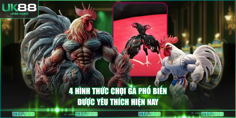 4 hình thức chọi gà phổ biến, được yêu thích hiện nay