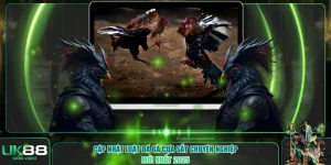 Đá gà cựa sắt