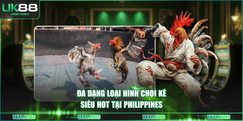 Đa dạng loại hình chọi kê siêu hot tại Philippines