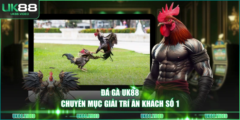 Đá gà UK88 - Chuyên mục giải trí ăn khách số 1