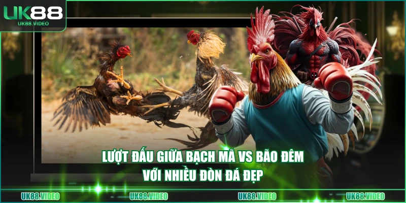 Lượt đấu giữa Bạch Mã vs Bão Đêm với nhiều đòn đá đẹp