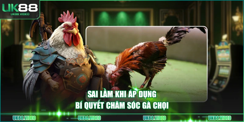 Sai lầm khi áp dụng bí quyết chăm sóc gà chọi