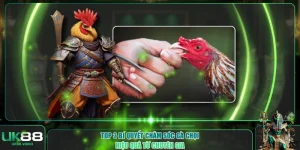 Bí quyết chăm sóc gà chọi