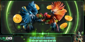 Đá gà Philippines